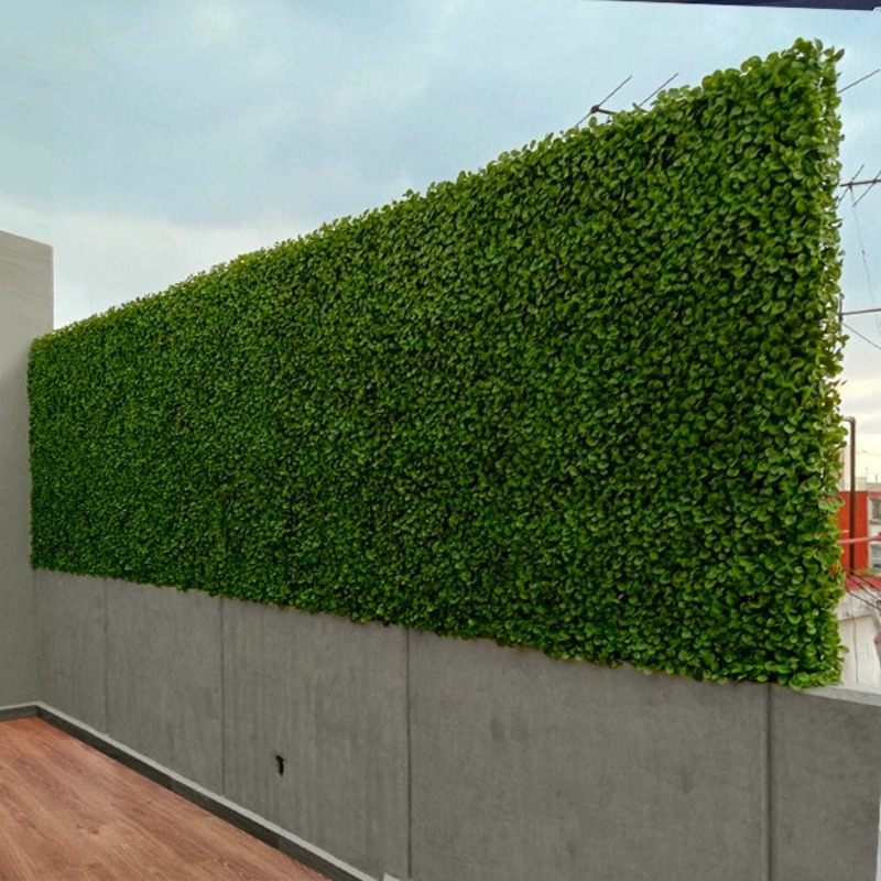 imgi_80_peperomia-ranka-follaje-sintetico-muro-verde-interiorismo