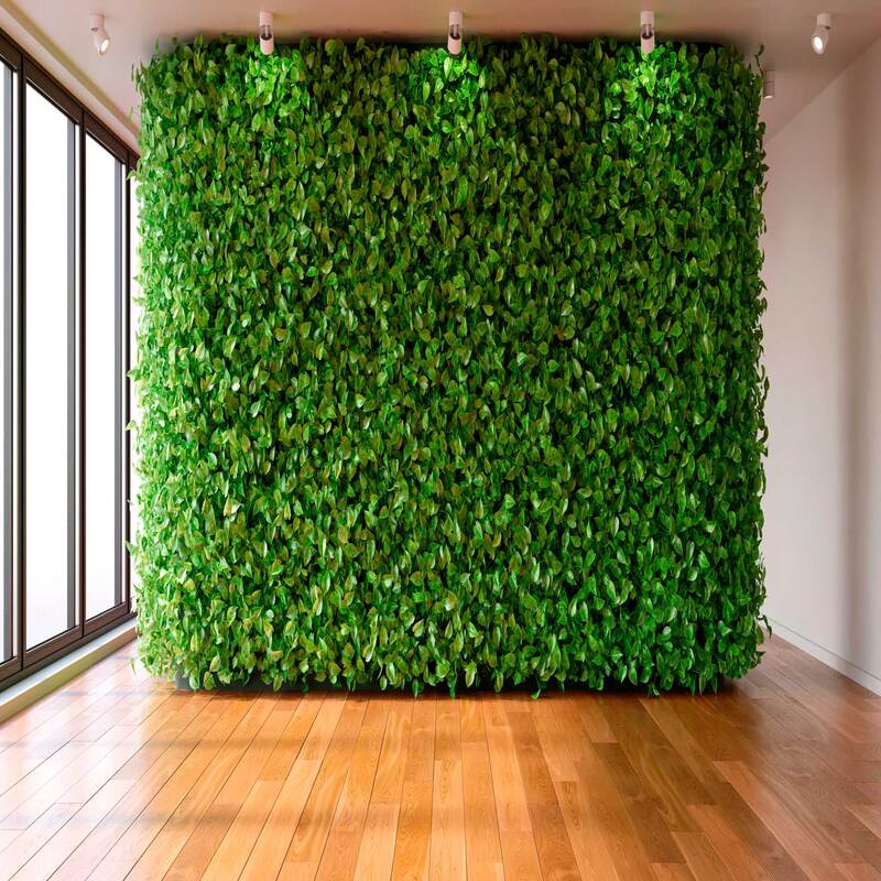 slider-renova-casa-muro-verde-pasto-sintetico